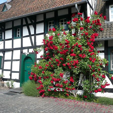 Falderhof Köln Dış mekan fotoğraf